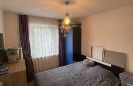 Apartament de 2 camere semidecomandat, etaj 2, Sasar