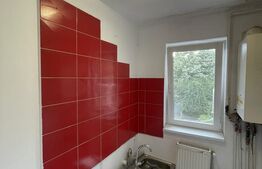 Apartament de 2 camere semidecomandat, etaj 2, Sasar