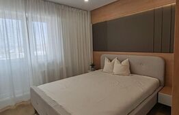 Apartament 2 camere, 40 mp, zona Ultracentral - Muzeul Mineralogie