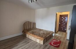 Apartament 1 camera, 42 mp, lift, zona Ultracentral