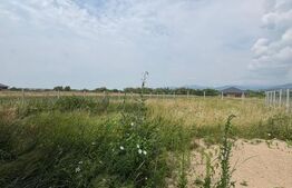 Casă individuală, 120 mp utili, teren 700 mp, 3 dormitoare, zona Recea 