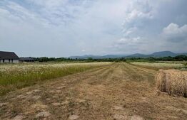 Teren de vânzare Sud - 204228TV | BLITZ Baia Mare | Poza1