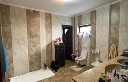 Casă 220 mp utili, 10 ari teren, living de 40 mp, zona Grivitei