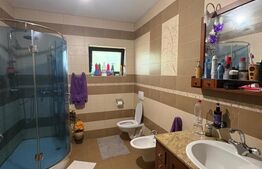 Casă 220 mp utili, 10 ari teren, living de 40 mp, zona Grivitei
