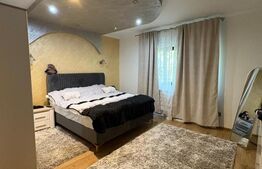 Casă 220 mp utili, 10 ari teren, living de 40 mp, zona Grivitei
