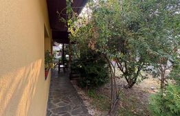 Casă 220 mp utili, 10 ari teren, living de 40 mp, zona Grivitei