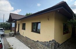Casă 220 mp utili, 10 ari teren, living de 40 mp, zona Grivitei