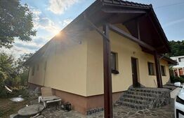 Casă 220 mp utili, 10 ari teren, living de 40 mp, zona Grivitei