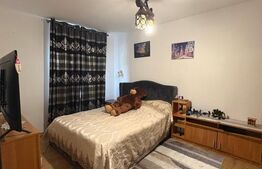 Casă 220 mp utili, 10 ari teren, living de 40 mp, zona Grivitei