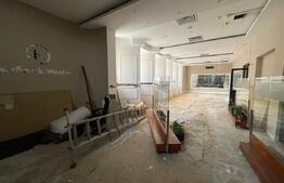 Spațiu comercial de închiriat Sasar - 204174SIC | BLITZ Baia Mare | Poza1