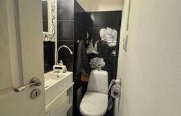 Apartament 3 camere, 67 mp, complet renovat, etaj 1, zona Central 