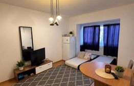 Garsoniera de vanzare, 22 mp, etaj 2, Str. Luminisului