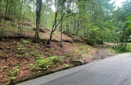 Teren intravilan, 2.6 ha, zona Complex Turistic Suior