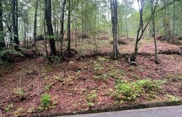 Teren intravilan, 2.6 ha, zona Complex Turistic Suior