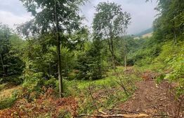 Teren intravilan, 2.6 ha, zona Complex Turistic Suior