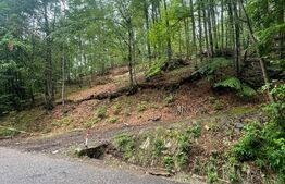 Teren intravilan, 2.6 ha, zona Complex Turistic Suior