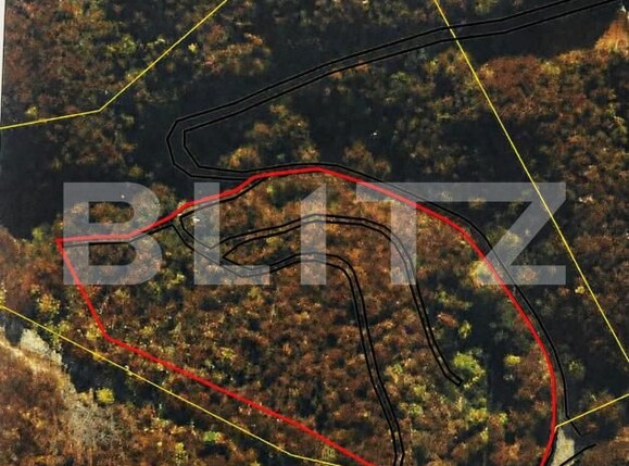 Teren de vânzare Baia Sprie - 201059TV | BLITZ Baia Mare | Poza5