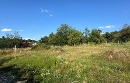 Teren intravilan, 1350 mp, PUZ aprobat, 3 parcele, zona Satu Nou de Jos