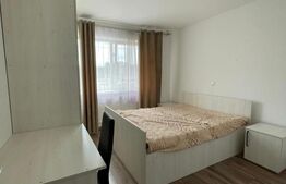 Apartament 2 camere, 45 mp, etaj 1, zona Garii