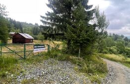Cabană de vacanță, 60 mp, teren generos de 83 ari, zona Borșa, Maramureș