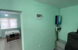 Cabană de vacanță, 60 mp, teren generos de 83 ari, zona Borșa, Maramureș