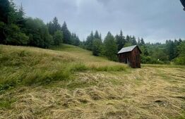Cabană de vacanță, 60 mp, teren generos de 83 ari, zona Borșa, Maramureș