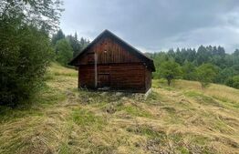 Cabană de vacanță, 60 mp, teren generos de 83 ari, zona Borșa, Maramureș