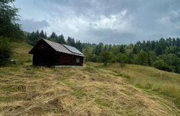 Cabană de vacanță, 60 mp, teren generos de 83 ari, zona Borșa, Maramureș