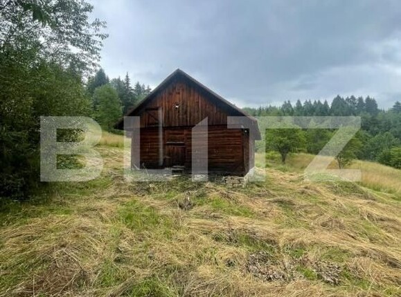 Casa de vânzare 2 camere Borsa - 201610CV | BLITZ Baia Mare | Poza3