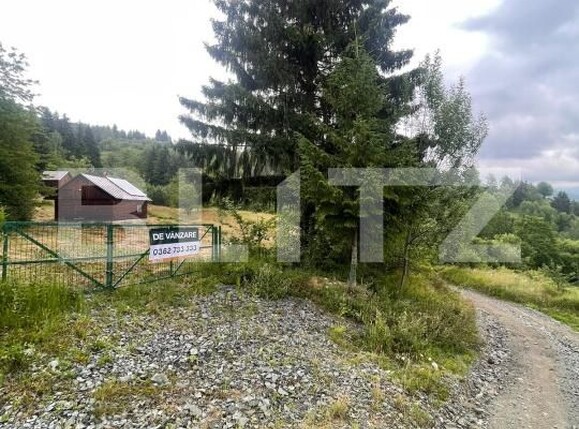 Casa de vânzare 2 camere Borsa - 201610CV | BLITZ Baia Mare | Poza8