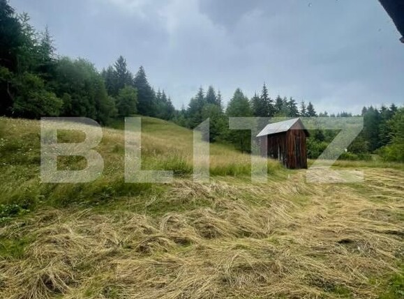 Casa de vânzare 2 camere Borsa - 201610CV | BLITZ Baia Mare | Poza4