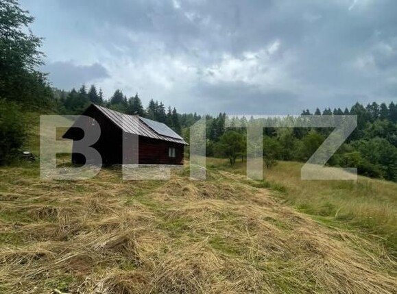 Casa de vânzare 2 camere Borsa - 201610CV | BLITZ Baia Mare | Poza2