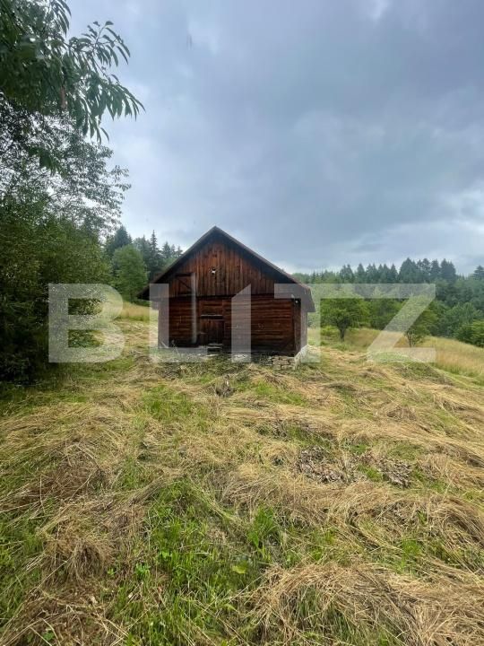 Casa de vânzare 2 camere Borsa - 201610CV | BLITZ Baia Mare | Poza3