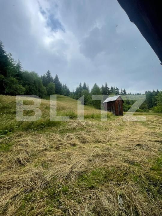 Casa de vânzare 2 camere Borsa - 201610CV | BLITZ Baia Mare | Poza4
