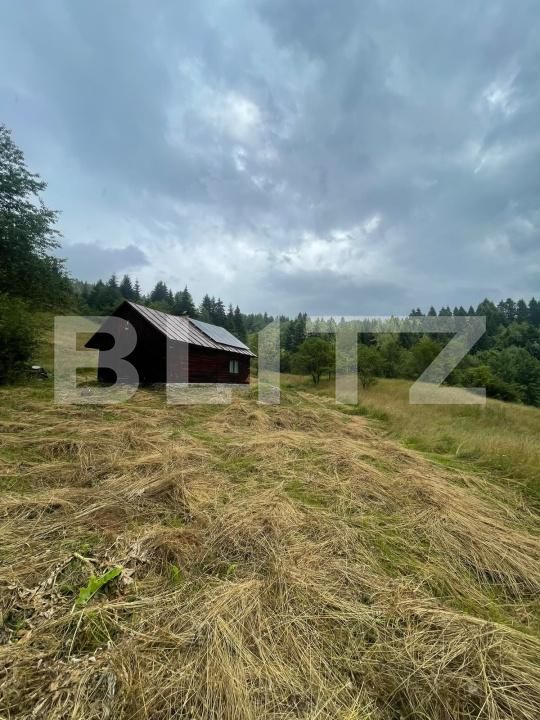 Casa de vânzare 2 camere Borsa - 201610CV | BLITZ Baia Mare | Poza2