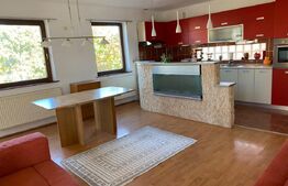 Casă cu 4 camere, 120 mp, zona Est