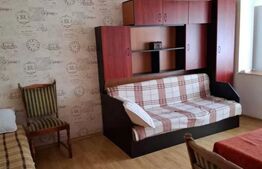 Garsonieră de vânzare, 24 mp, balcon închis – str. Luminișului