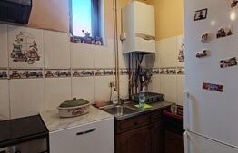 Casă individuală, 170 mp, curte 683 mp, zona Orasul Vechi 
