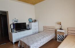 Casă individuală, 170 mp, curte 683 mp, zona Orasul Vechi 