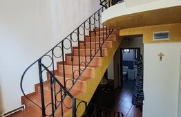 Casă individuală, 170 mp, curte 683 mp, zona Orasul Vechi 