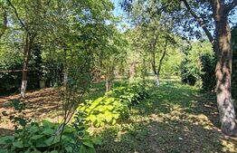 Casă individuală, 170 mp, curte 683 mp, zona Orasul Vechi 