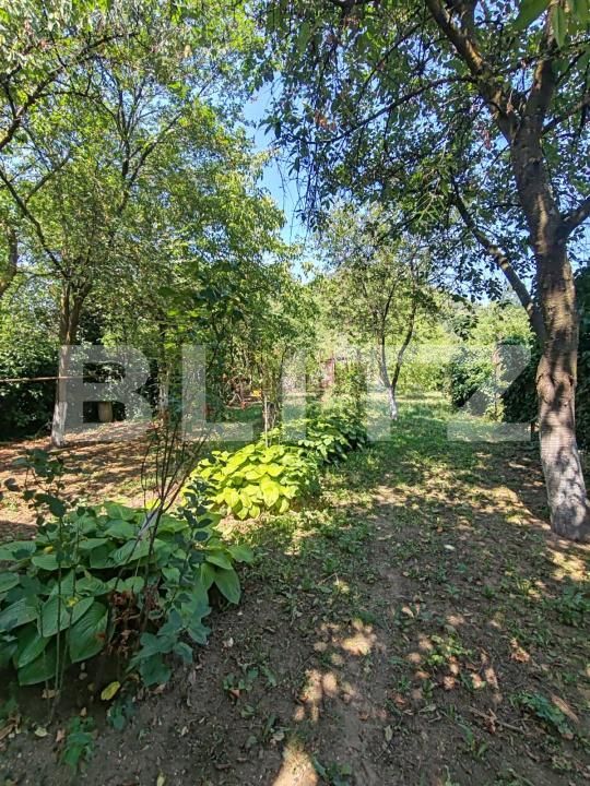 Casa de vânzare 5 camere Orasul Vechi - 202187CV | BLITZ Baia Mare | Poza15