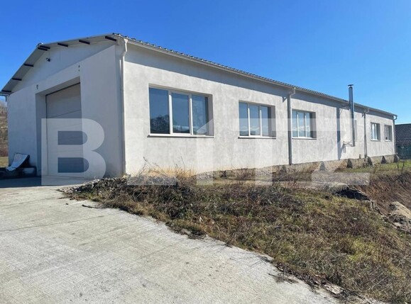 Spațiu industrial de închiriat Tautii-Magheraus - 202238SII | BLITZ Baia Mare | Poza1