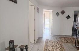Casă individuală, 266 mp, zona Valea Borcutului