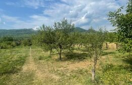 Teren intravilan, 25 ari, zona Tauti de Sus