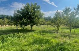 Teren intravilan, 25 ari, zona Tauti de Sus