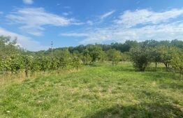 Teren de vânzare Sasar - 205288TV | BLITZ Baia Mare | Poza2