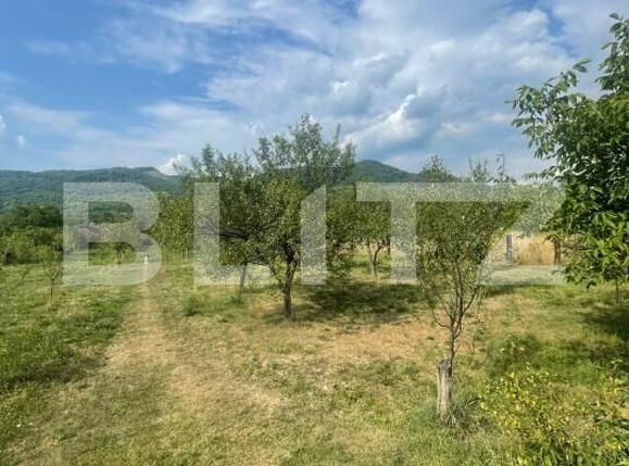 Teren de vânzare Tautii de Sus - 202625TV | BLITZ Baia Mare | Poza3