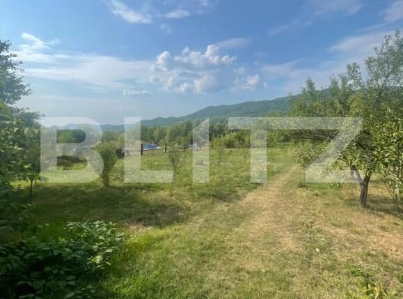Teren de vânzare Tautii de Sus - 202625TV | BLITZ Baia Mare | Poza2
