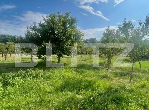 Teren de vânzare Tautii de Sus - 202625TV | BLITZ Baia Mare | Poza4